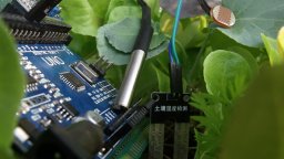 Monitoring of Plant Growth on a Budget With Arduino