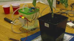 Automated Plant Watering With Arduino