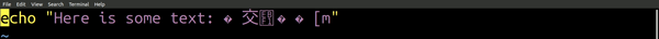 vim Chinese Characters Malformed